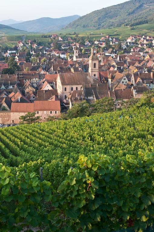 Gite L'Agape Riquewihr Exteriér fotografie