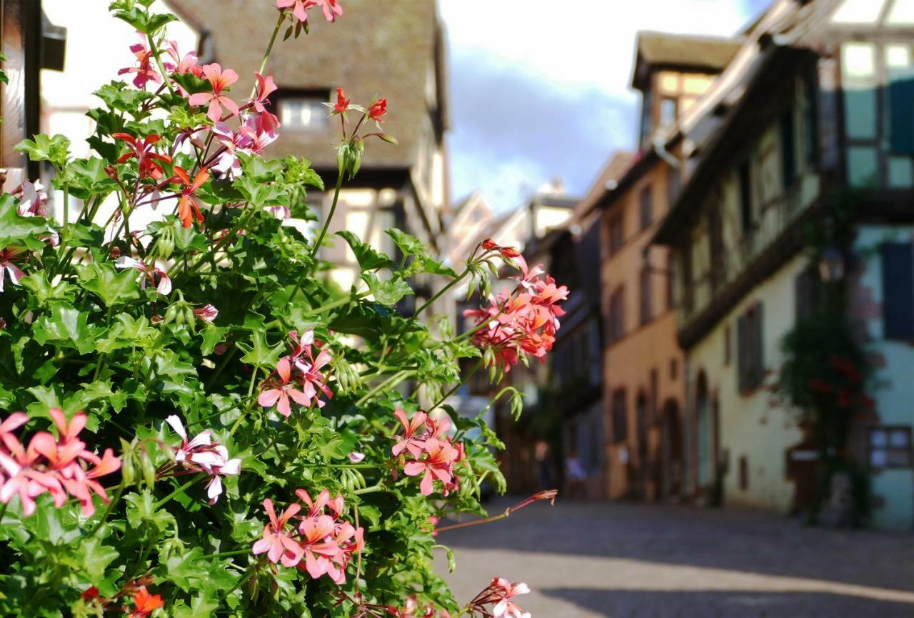 Gite L'Agape Riquewihr Exteriér fotografie